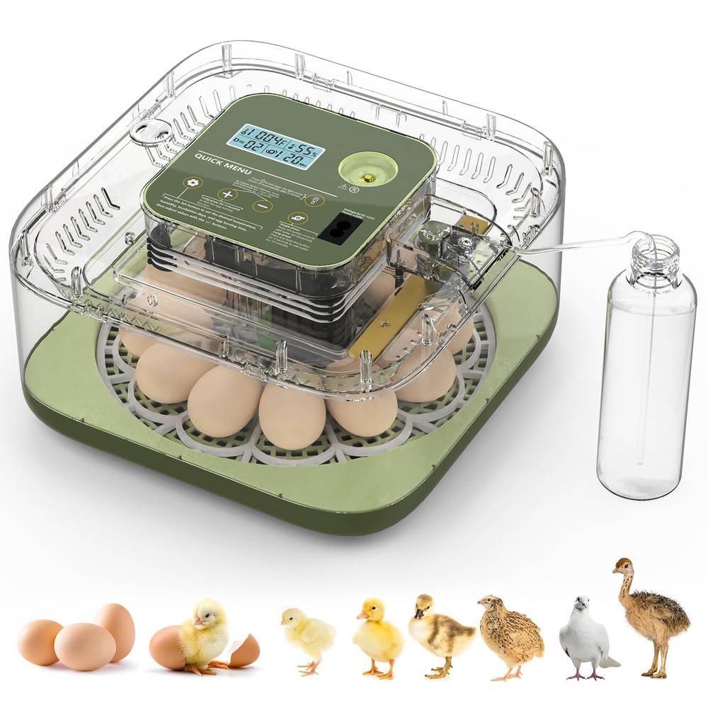 Auto Egg Incubator with Humidity Control & Hatching Guide for Various Eggs