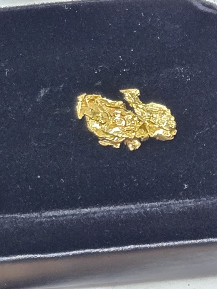 Beautiful California Gold specimen