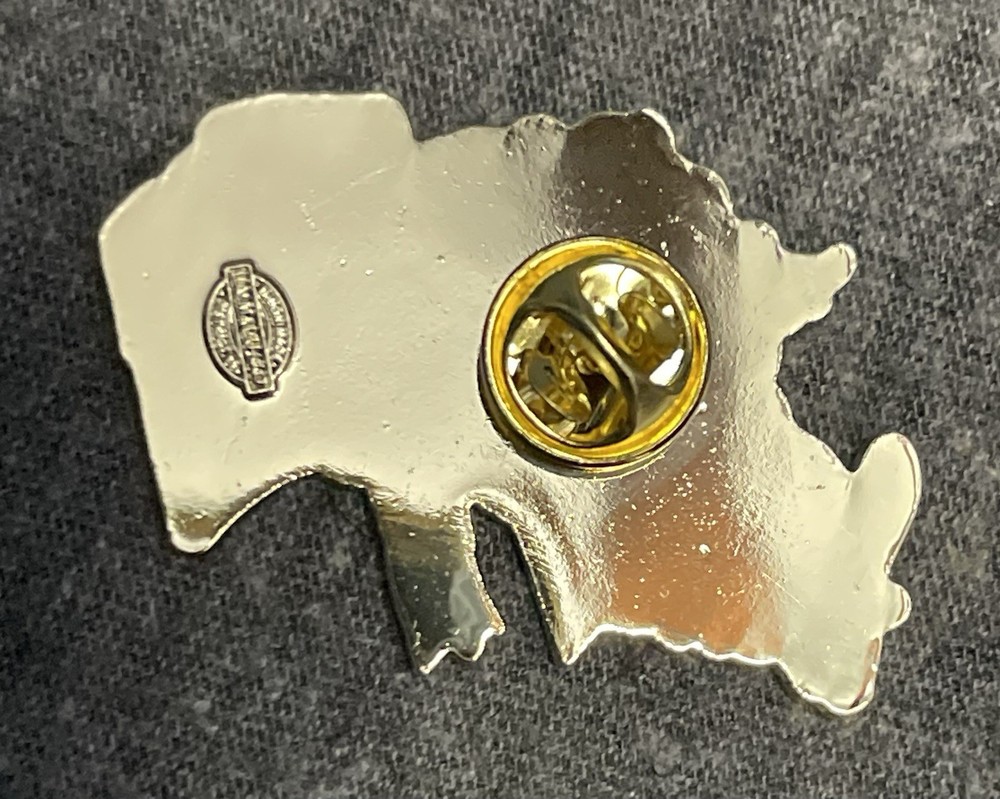IBEW Local 665 Pin Lansing Michigan Eagle