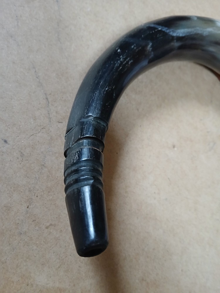 Powder Horn, 17" Long - Used