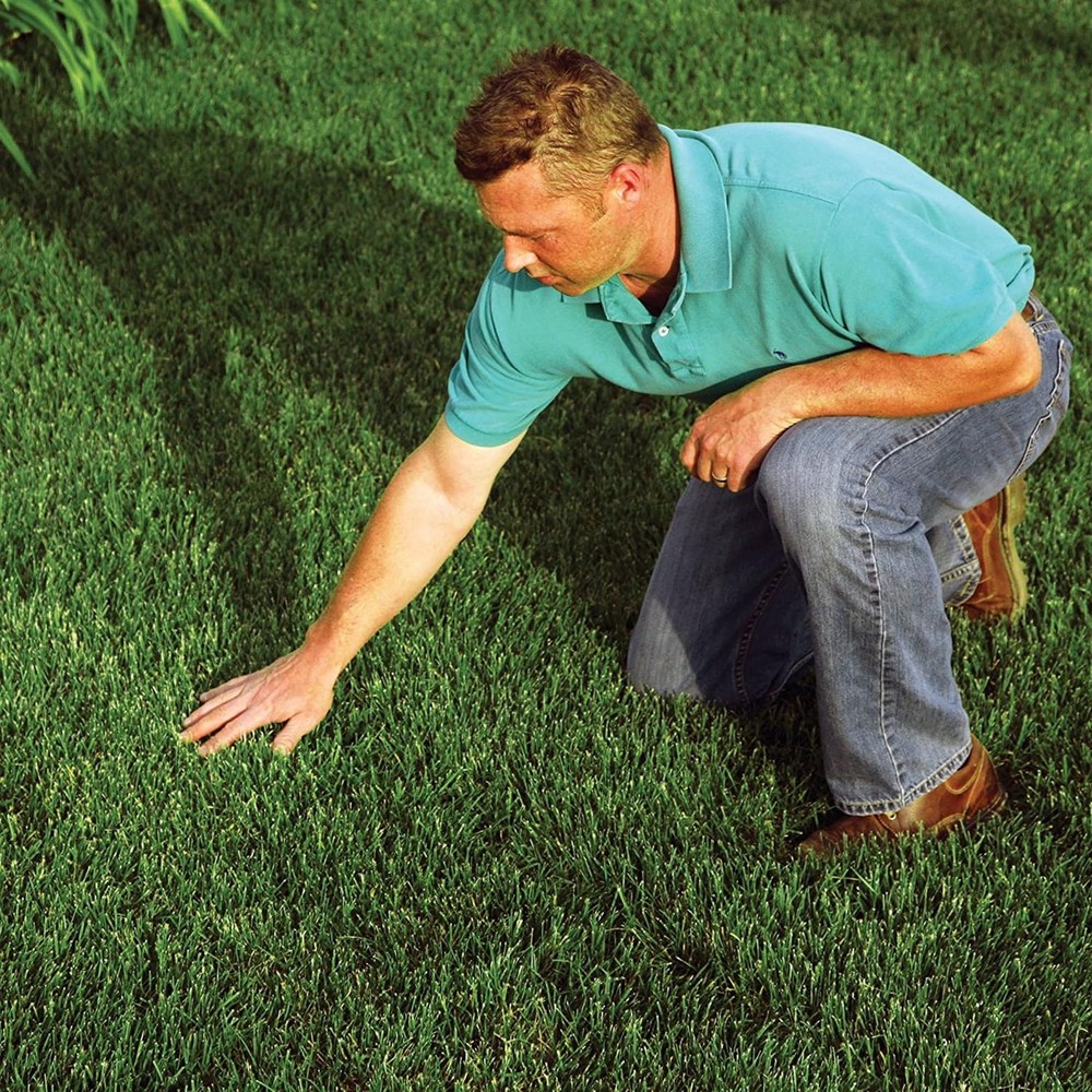 Seeding Mulch with Tack - Biodegradable Processed Straw, 2.5 cu. ft. Bale (Co...