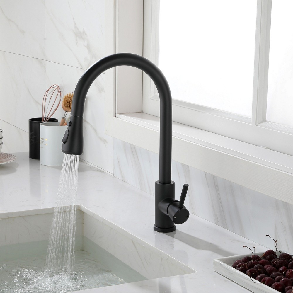 Kitchen Faucet with Pull Out Spraye Matte Black