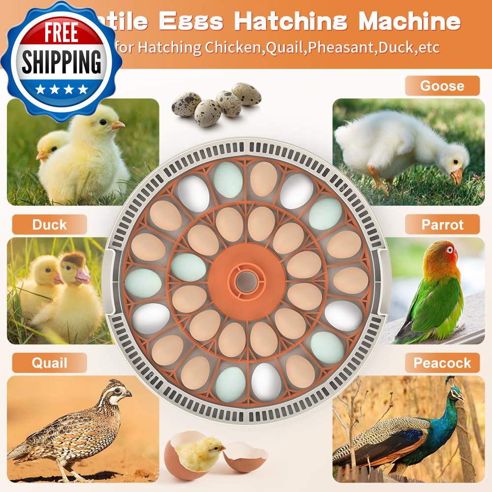 Incubators for Hatching Eggs，30 Egg Incubator,Egg Incubator with Automatic Egg T