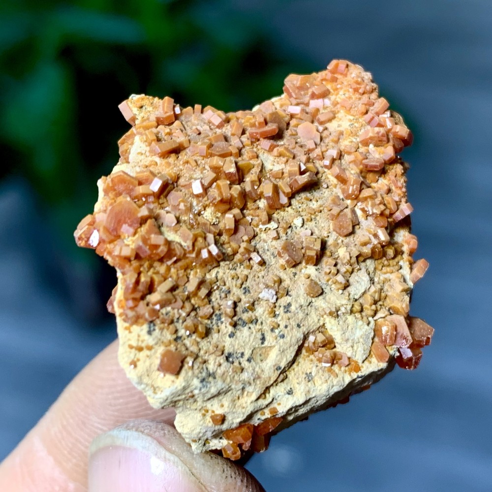 12GNatural Beautiful Vanadinite Atone Cluster Quartz Mineral SamplefromMorocco