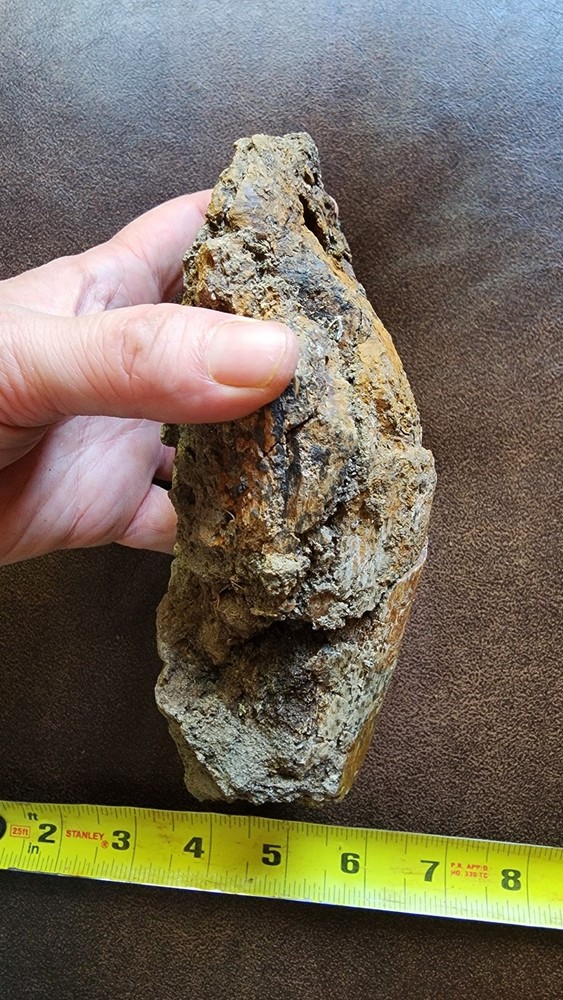 Big Heavy Dinosaur Bone Section - Fossil from Hell Creek Formation Cretaceous