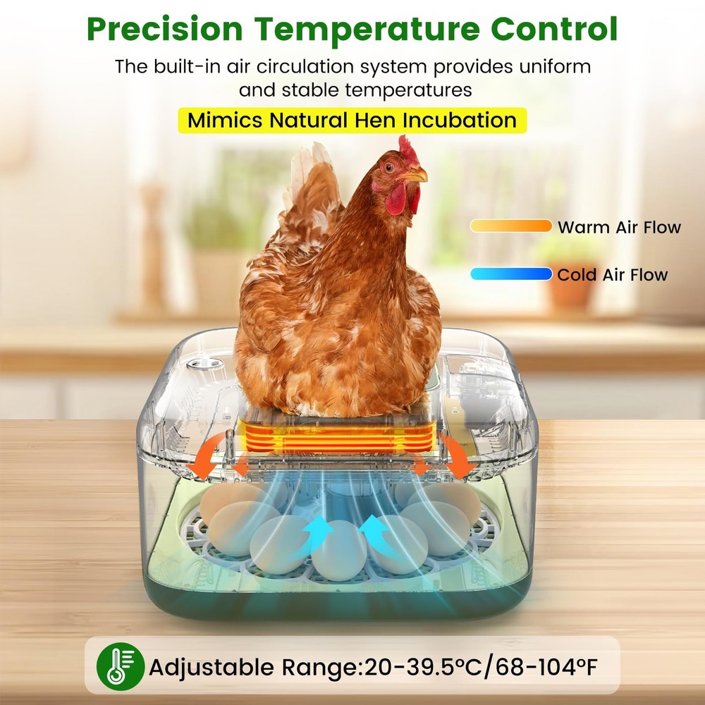Auto Egg Incubator with Humidity Control & Hatching Guide for Various Eggs