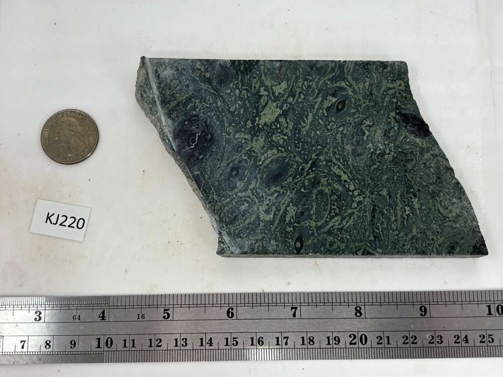 Kambaba Jasper Stromatolite Slab Lapidary Cabbing Combo Ship Avail