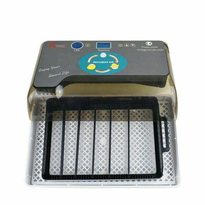 12 Eggs Mini Visual Egg Incubator Digital Egg Incubator w/Automatic Turning