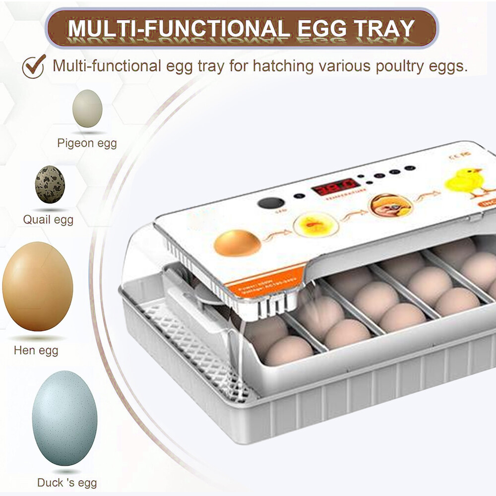 20 Egg Automatic Egg Incubator - Digital Turning Hatching Machine