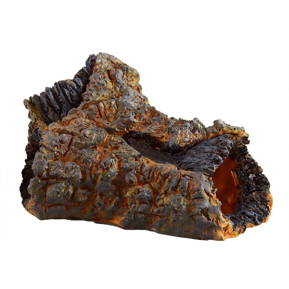RA Root Log