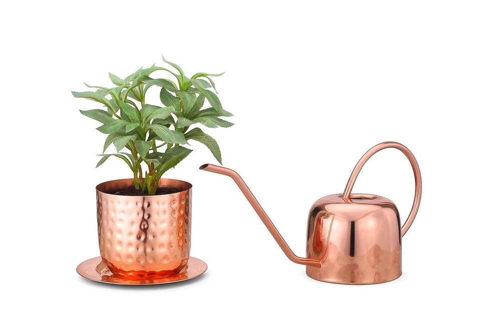 - Indoor Watering Can and Planter with Plate.