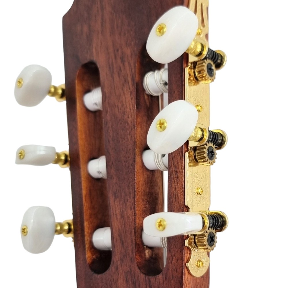 Haze Solid Top Thin Body Arched Back Classical Guitar - Matte C551BCEQSM