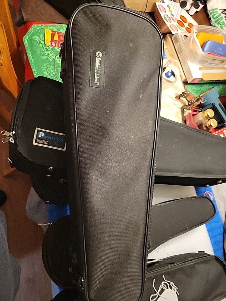 1/4 Eastman Strings Violin Case Hinge Is Broken Still Usable Could Be Fixed