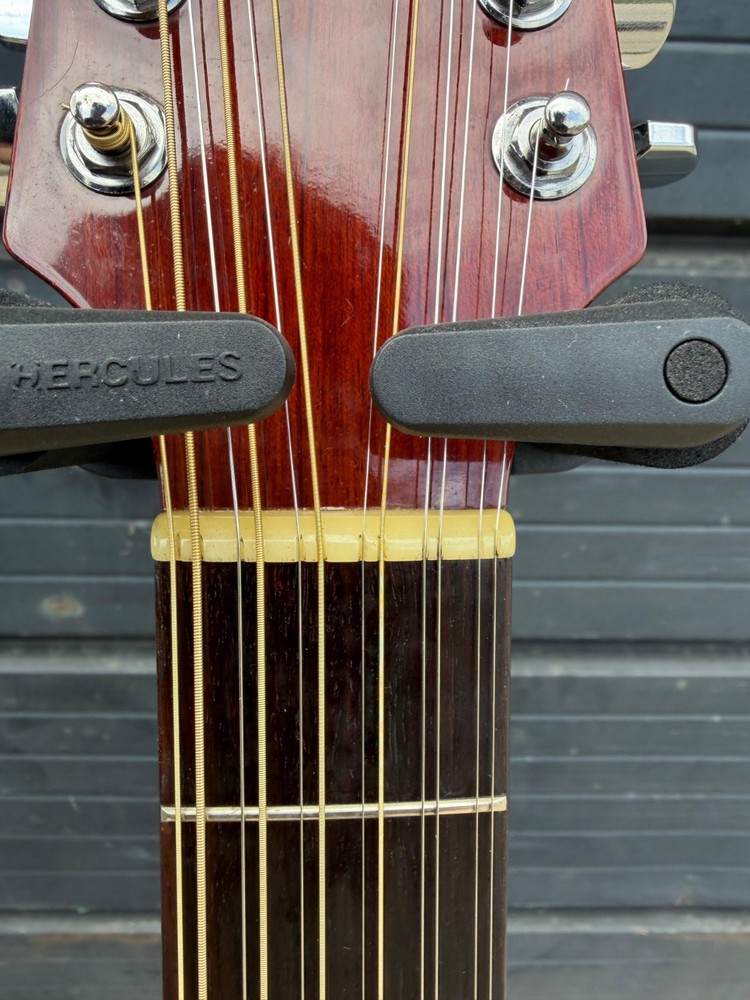 Takamine EG-335C