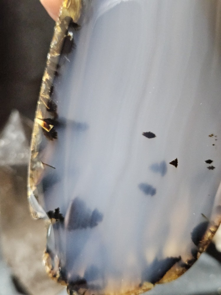 Montana Agate w/ Dendric Polished Specimen (1lb)