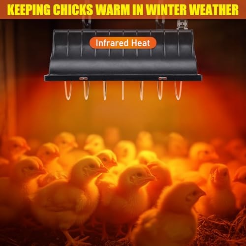 250W for Chicks Ducks, Brooder Heater with 2PCS Heat Chicken Brooder Heater