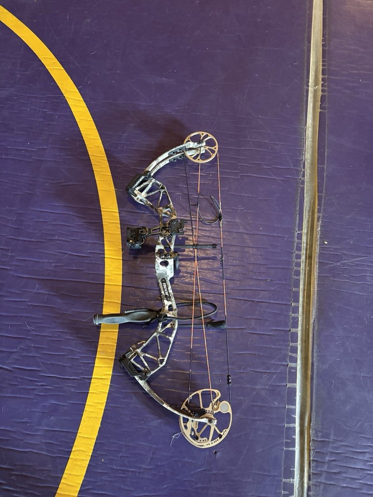 Left Handed Bear Paradox