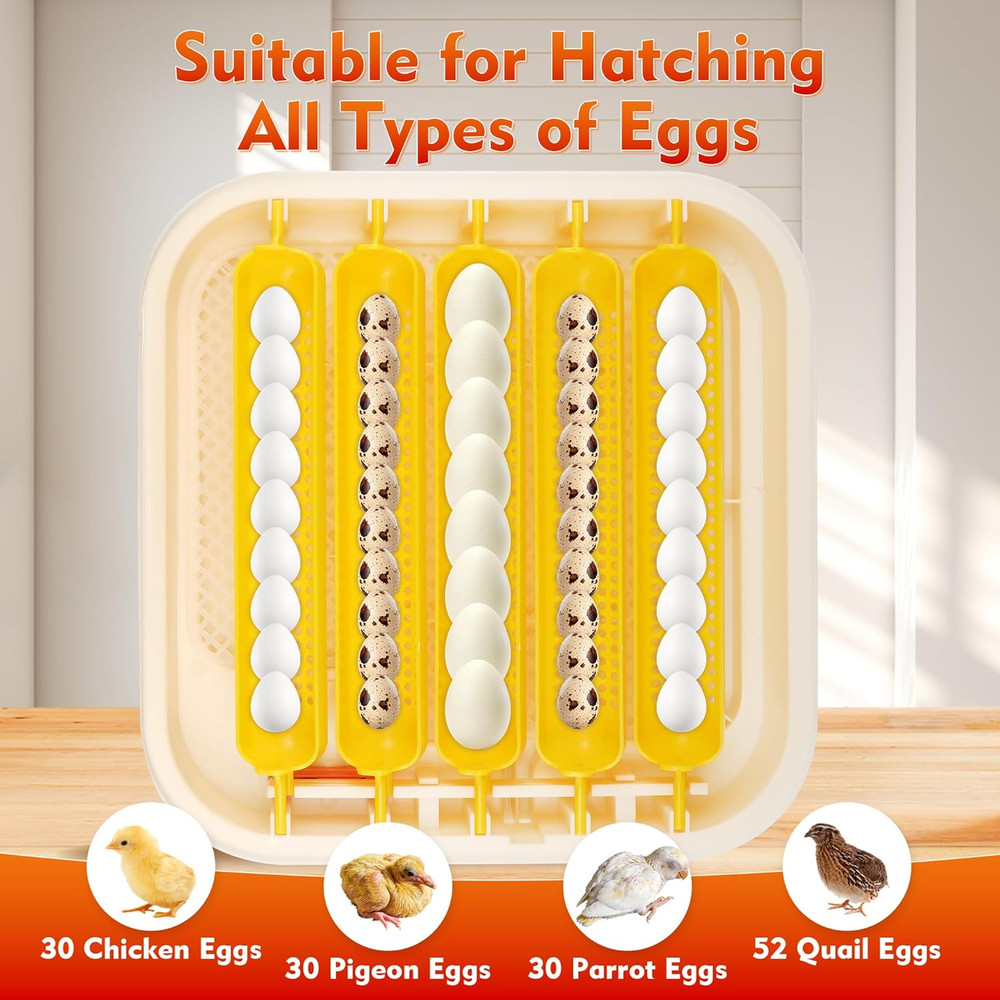 Incubators for Hatching Egg 30 Eggs Automatic Egg Turning & Humidity Control, Di