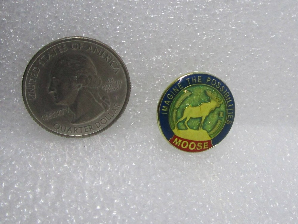 Moose Imagine The Possibilities Pin