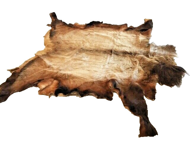 American Indian Elk Hide Robe