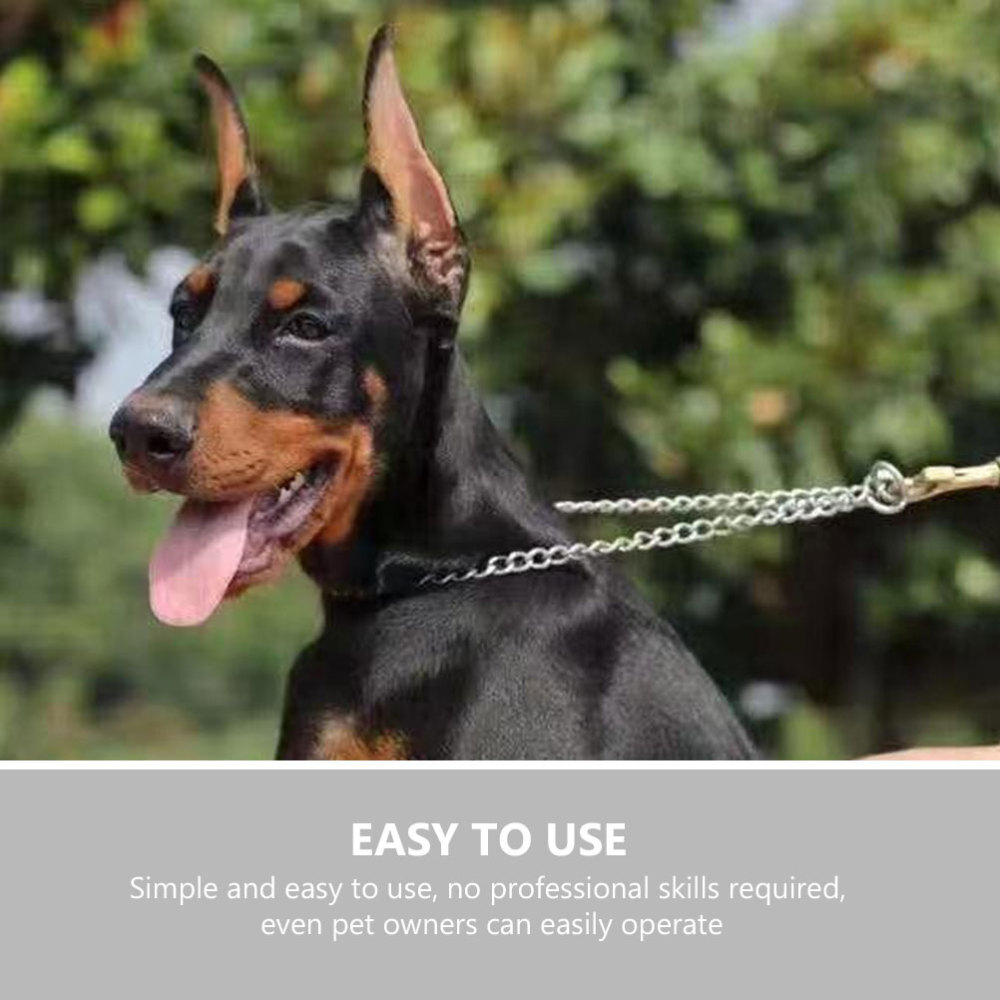 Small Dog Ear Stand up Support Standing Kit for Puppies Patch