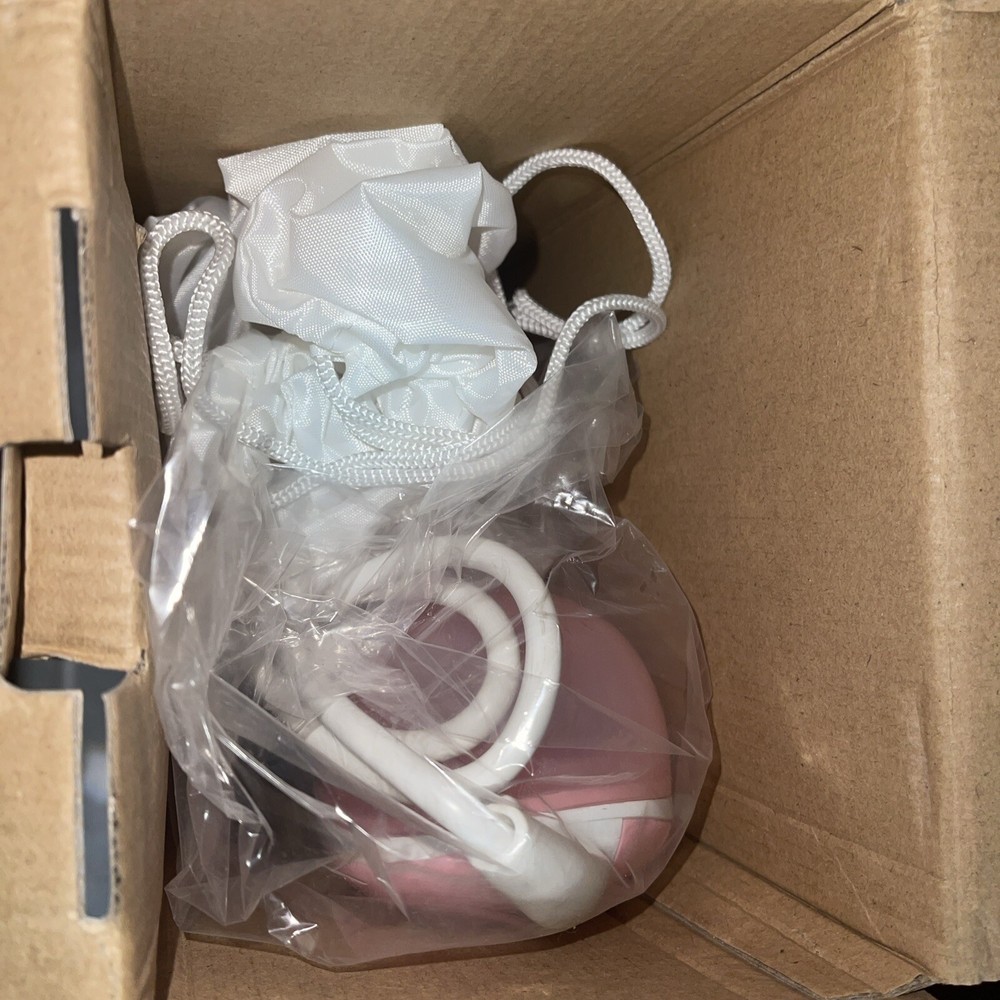 Amconsure Garment Steamer