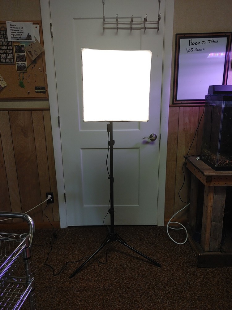 ESDDI Softbox Photography Lighting