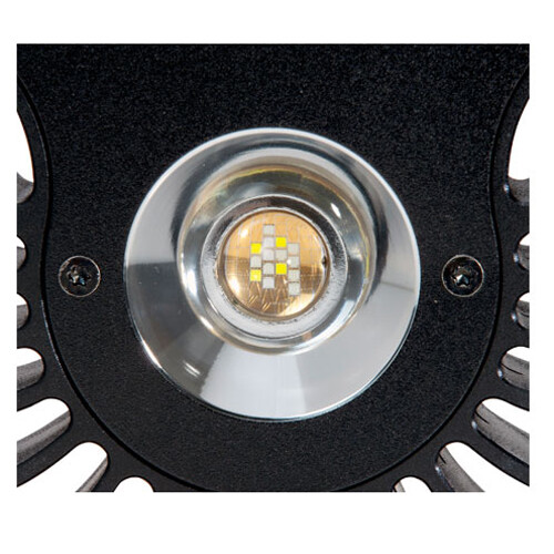 Kessil A80 Tuna Blue LED Light