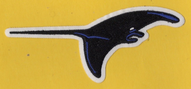 TAMPA BAY DEVILS RAYS MLB EMBROIDERED PATCH