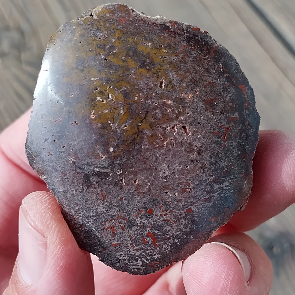 Polished Dinosaur Bone * Utah * 3.4 oz.