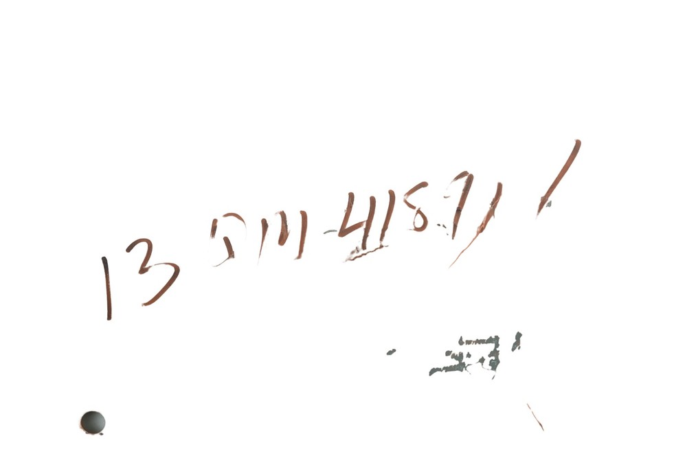 Mack 13QM4189P1 Red Panel