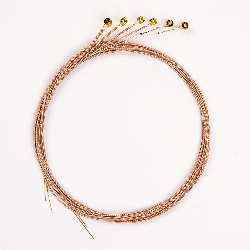 Alice Acoustic Guitar Strings Set - 6-String for Beginner, Briliant Steel Cop...