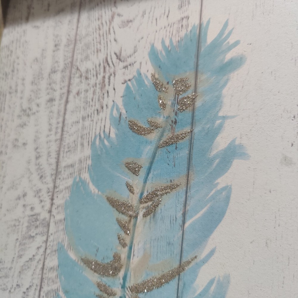 Beautiful Hanging Frame Light Weight Wall Decor Art Feather Design