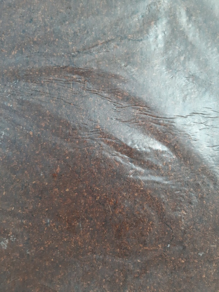 COCO PEAT | COIR DUST | 100% NATURAL ORGANIC COMPOST | 100g-800g Packets