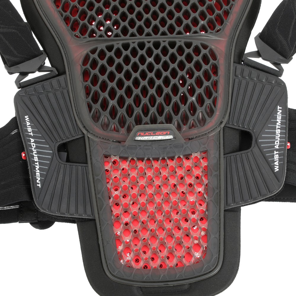 Alpinestars Back Protector Large