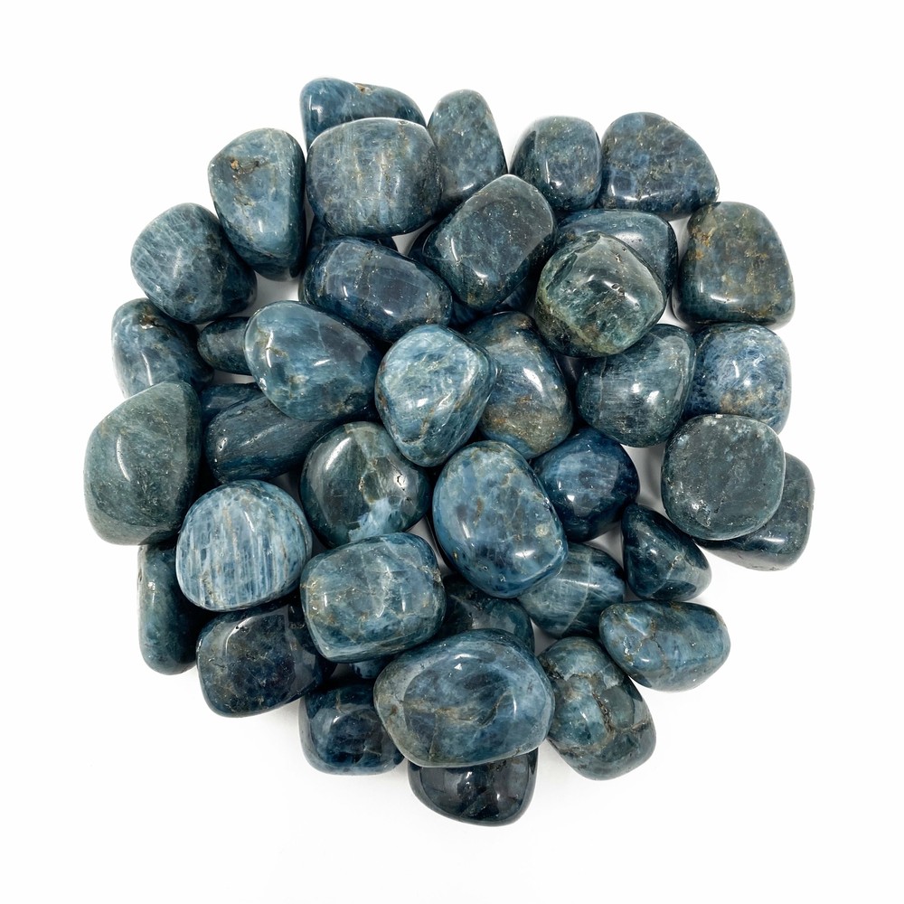 (1) Apatite (Small) Tumbled Crystal Specimen with Description Card