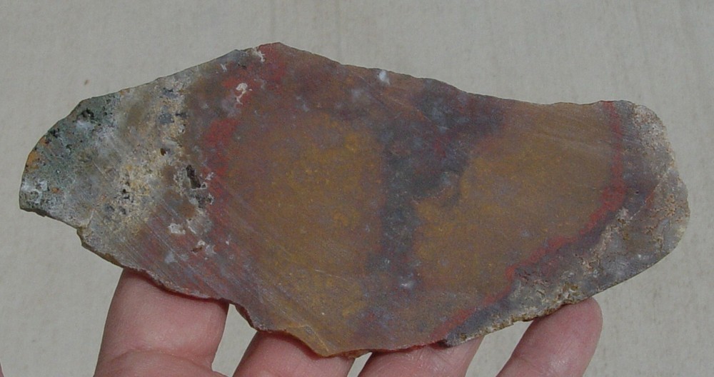 Macaw Agate from Mexico Lapidary Slab T721