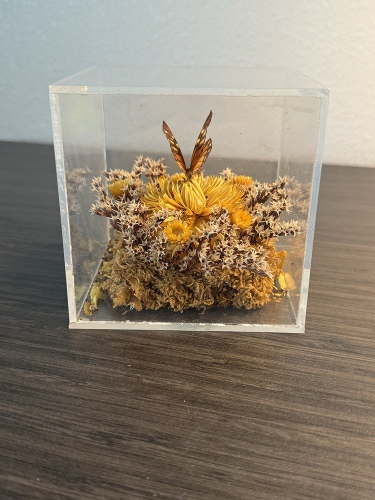 Vintage Butterfly & Dried Flower Lucite Cube