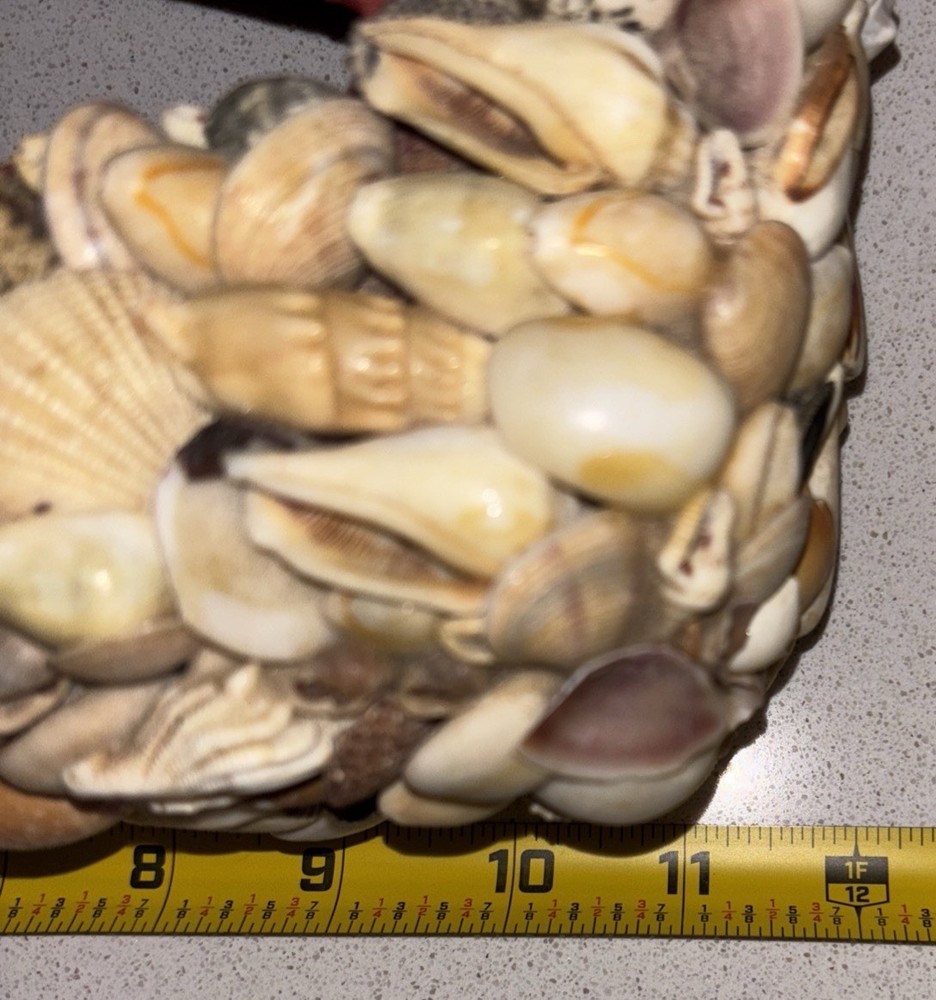 Vintage Seashell Tissue Box Cover Palm Beach Regency