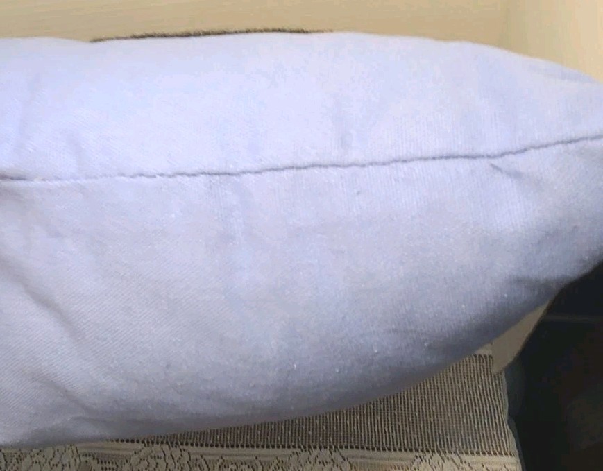 Large symmetrical floral Throw Pillow Crafted through Applique' Pattern