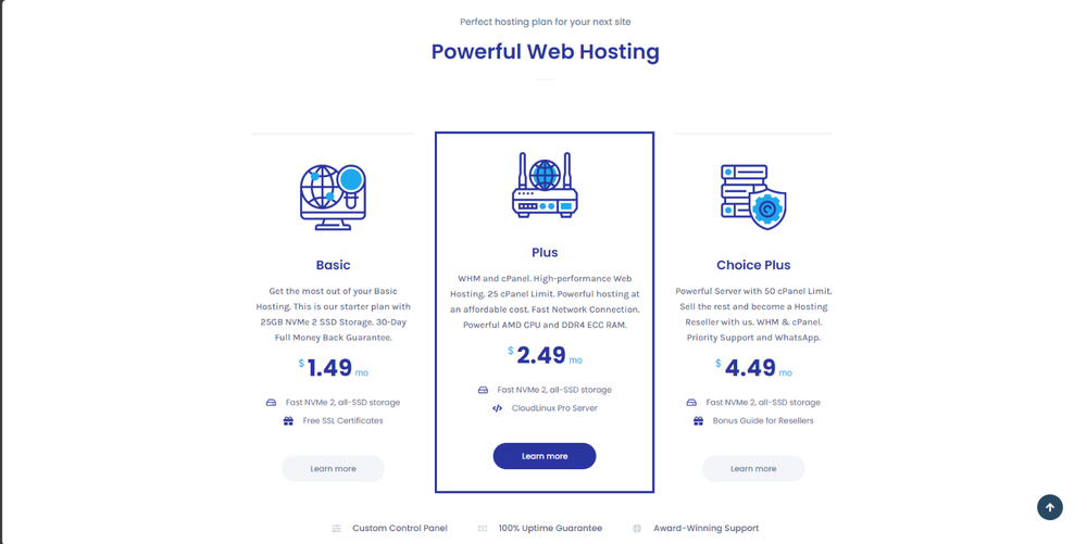cPanel Web Hosting with FREE SSL CloudLinux & LiteSpeed Fast NVMe SSD Guaranteed