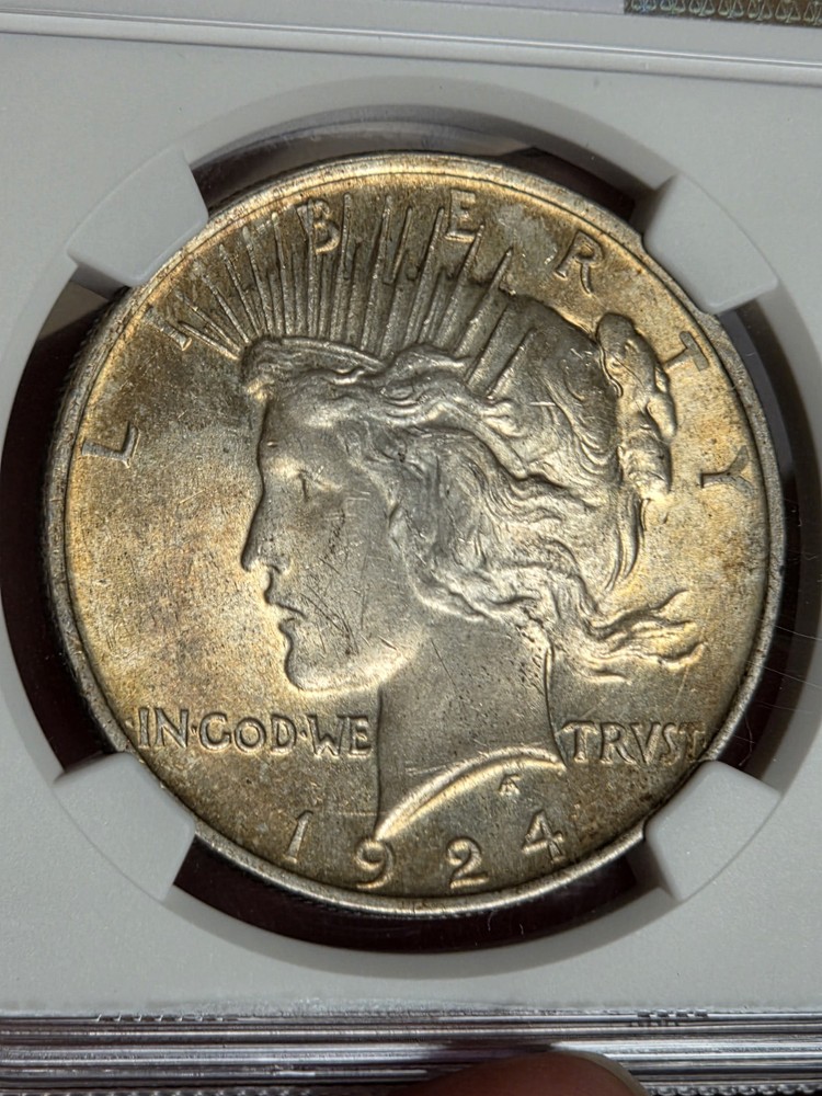 1924 $1 Peace Dollar NGC MS63 Toned