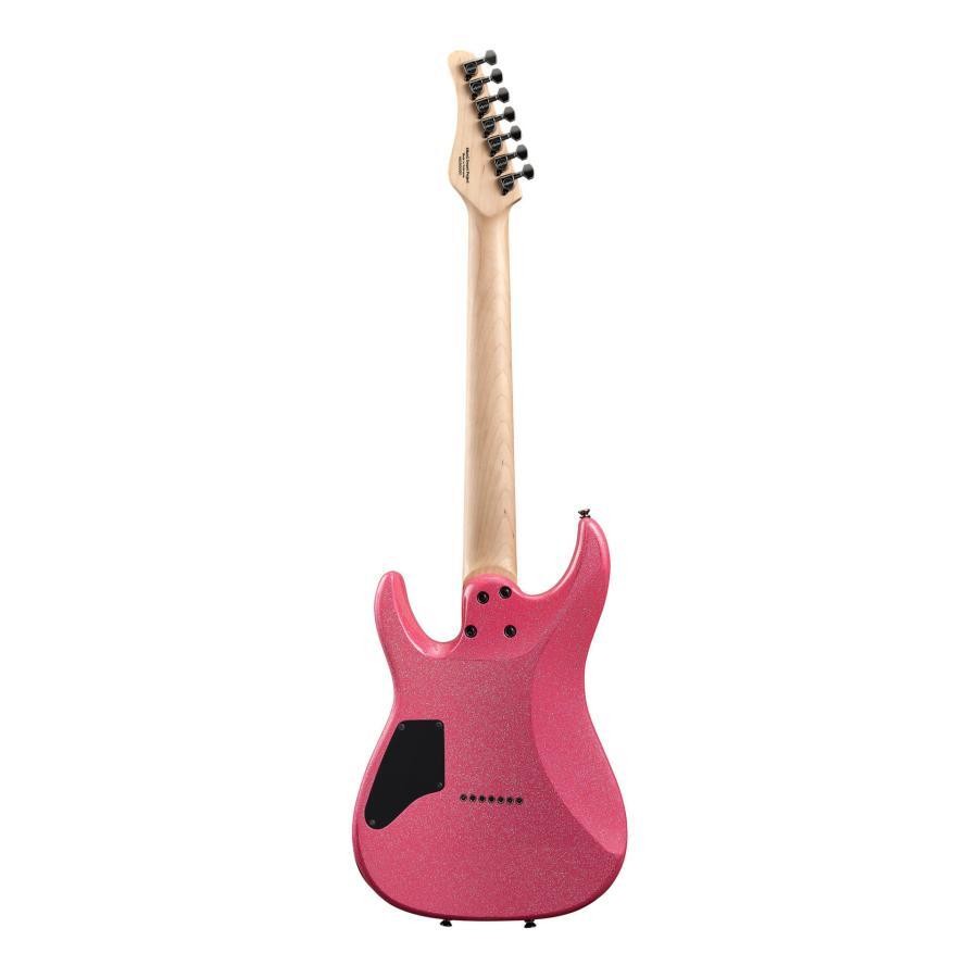 SCHECTER BC Avemujica Mortis 293233
