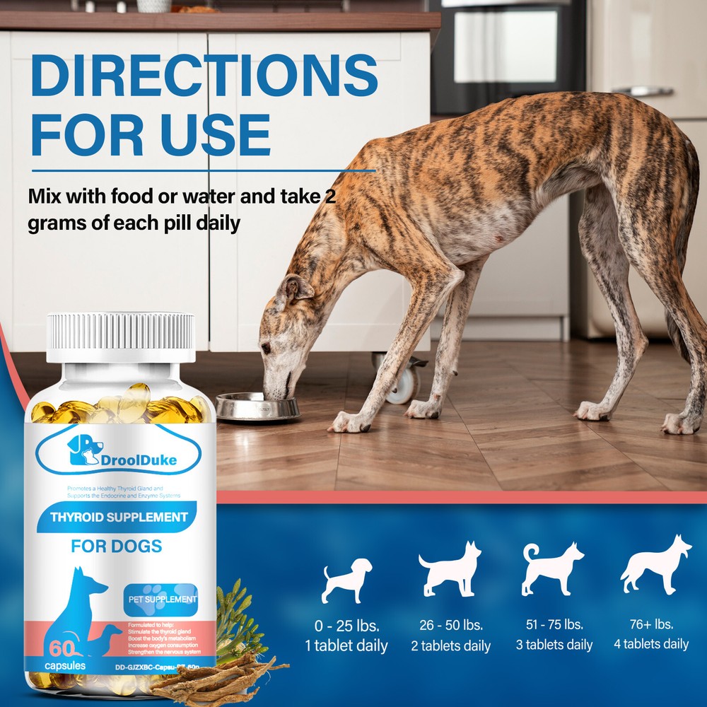 (2 Packs)Thyroid Supplement for Dog,Balanced Thyroid Function,Healthy Metabolism