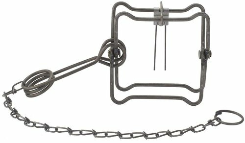 Duke #110 Single Spring Body Grip Trap