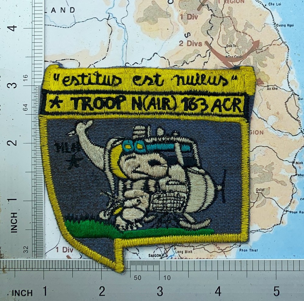 Patch , snoopy , troop N AIR 163 ACR patch , snoopy patch , t9-488