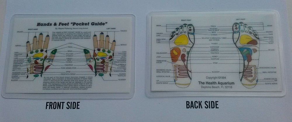 REFLEXOLOGY, HANDS & FEET WALLET CARD - LAMINATED
