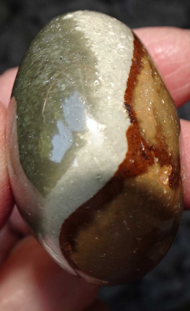 Polychrome Jasper - 3 Polished Pebbles - Madagascar sc749g