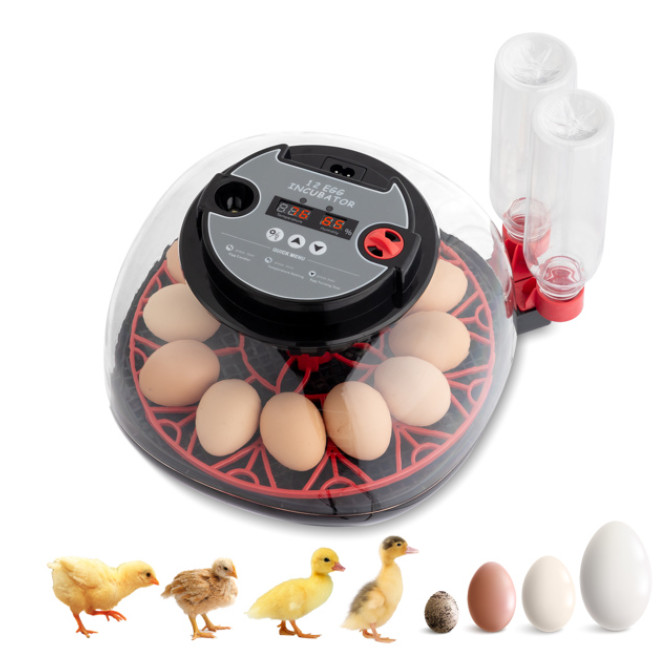 US 12 Egg Incubator with Automatic Egg Turning, Temperature and humidity Control