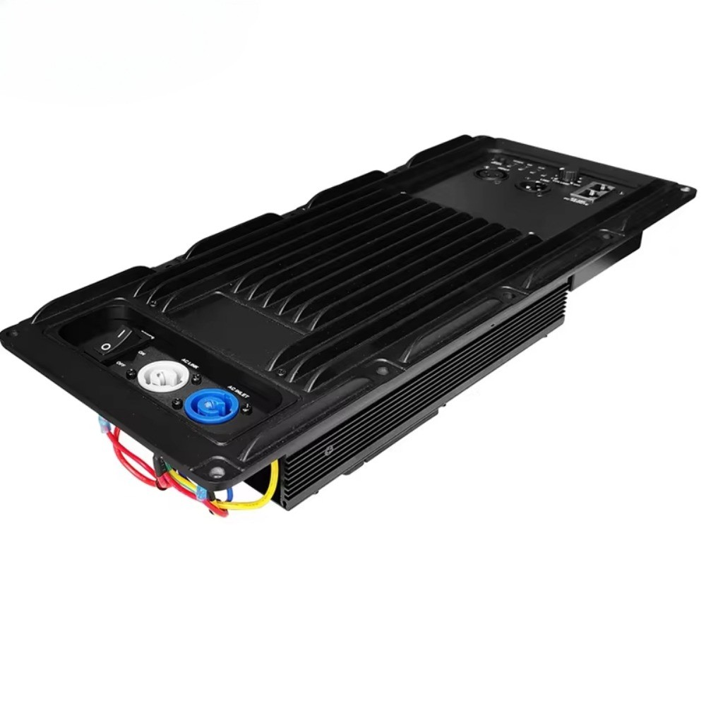 Power 8Ω 1000W 2 Channel Sample Rate 48kHz Class D Module Subwoofer Active